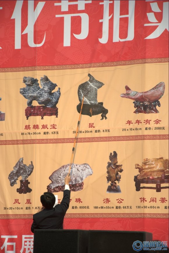 _DSC0535[上網8.jpg